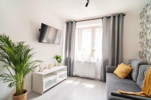 Katedralna Apart's Legnica