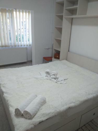 Apartament Denisa