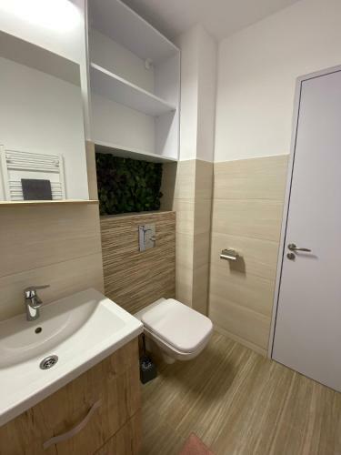 Grove Apartment