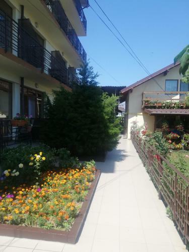 Hostal Villa Pescarus