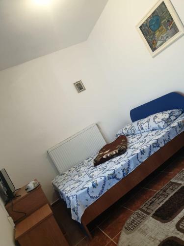 Vila/pensiunea Pescarus