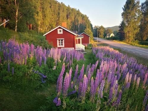 Lilla Huset