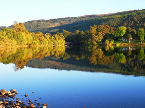 Chalet Loch Meiklie 3 Bed-2