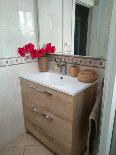 Apartamento Plaza Andr�s Piles