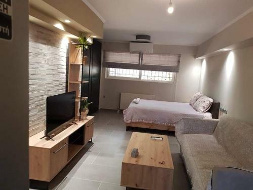Lefkaditika Luxury Apartment