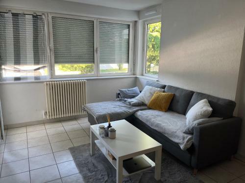 Apartamento Bron Centre Ville Le Cosy