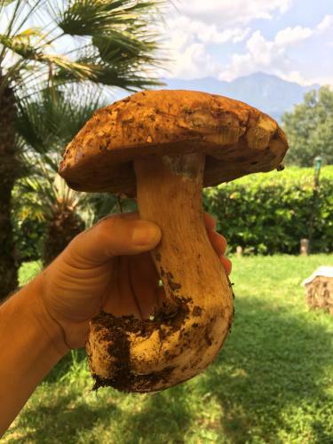 Agroturismo Il Cavaliere