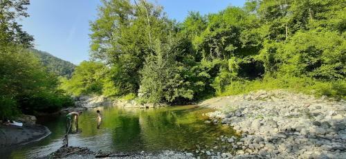 Bed & Breakfast La Luna Nel Borgo