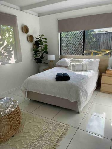 Entire Home. Central To Beaches & City. Pets Aloud