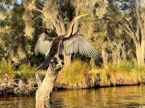 Osprey Retreat, 4-bed House, Surrounded By Nature