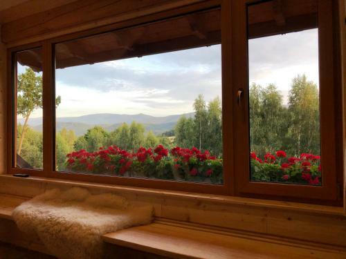 Apartamento Haker�wka