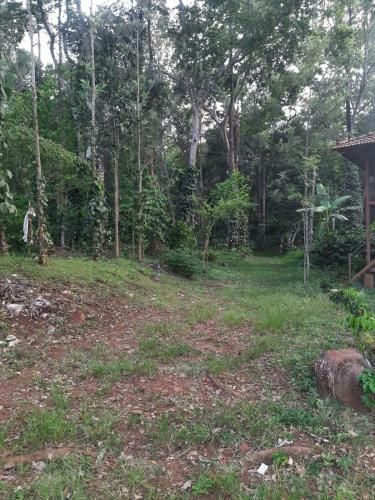 Prakash Nature Nest