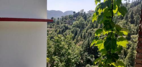 Deep Jyoti Home Stay