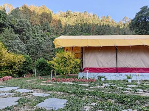 Shimla Camping