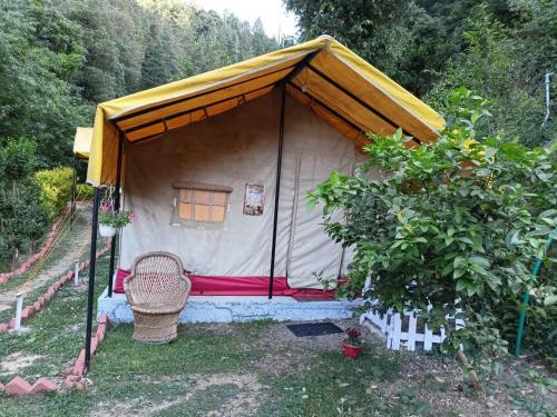 Shimla Camping