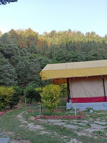 Shimla Camping
