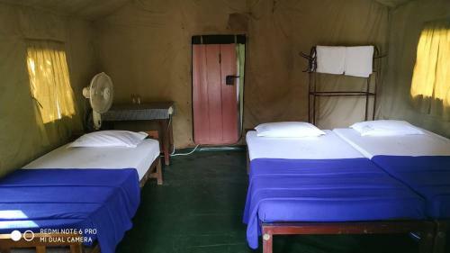 Gavi Tiger Resort