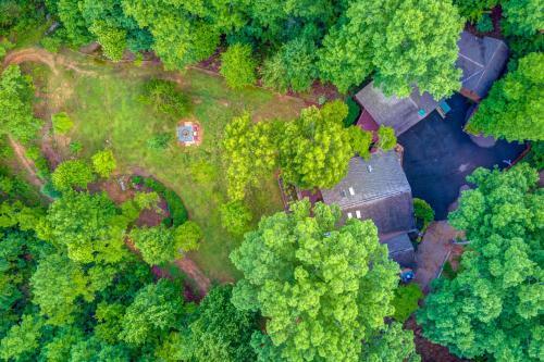 Treehouse Retreat