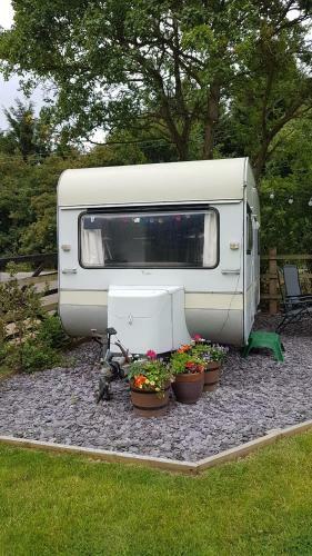 Oakside Campsite