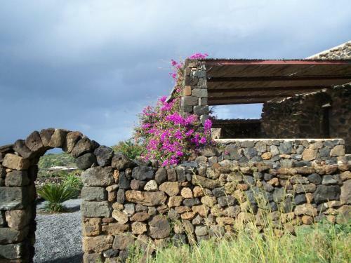 Agriturismo Zibibbodoro