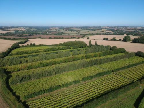 *new* Hartest Vineyard 2 Bed Cottage With Parking