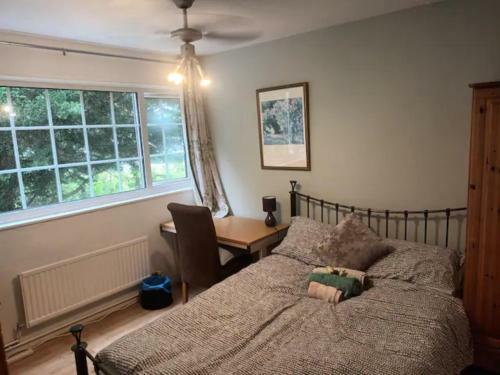 Free Bkft Spacious Double Ceiling Fan Large Desk