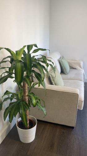 Apartamento Playa De San Lorenzo