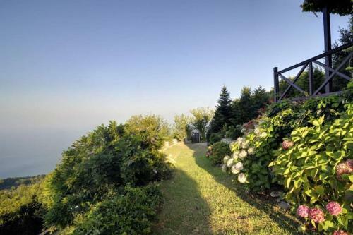 Villa Bird's Eye-view