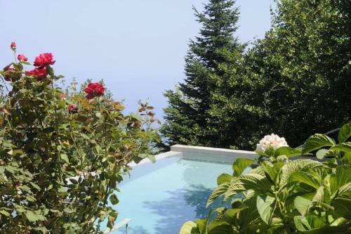Villa Bird's Eye-view