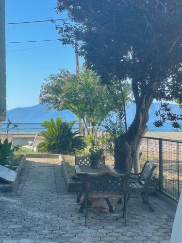 Apartamento Backyard