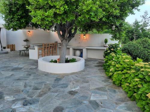 Villa Paolina - Grand Mansion