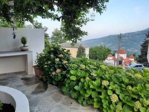 Villa Paolina - Grand Mansion