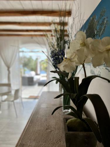 Villa Areti By Whitelist Mykonos