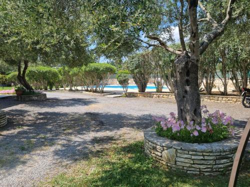 Corfu Villa Dassia 1