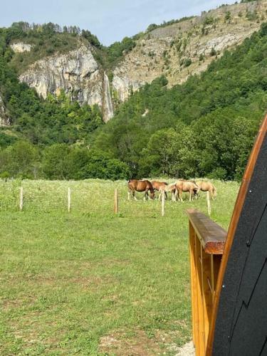 Cabane Du Vigneron