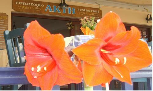Apartamento Akti Rooms