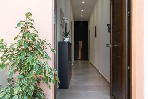 Hostal Torre Mola Suite