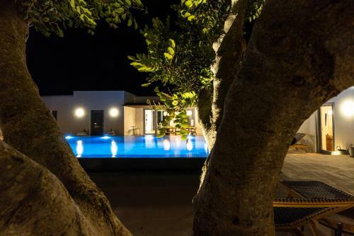 Villa Cape Ftelia