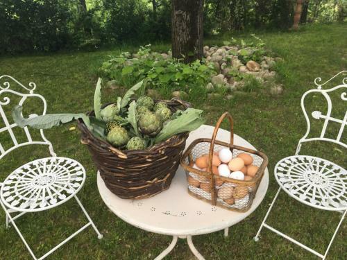 Agroturismo Cascina Il Bricco