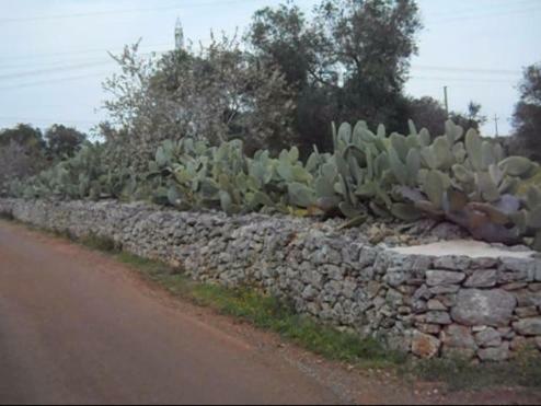 Apartamento Trullo Zappa D'argento In Salento