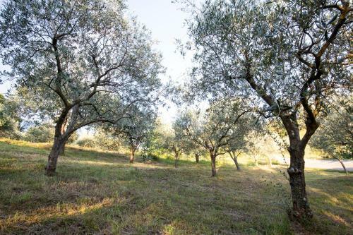 Agroturismo Agriturismo Valbar�