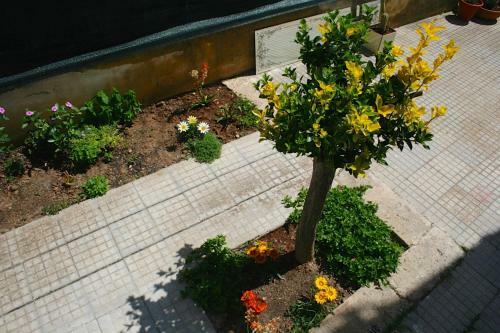 Bed & Breakfast Il Giglio