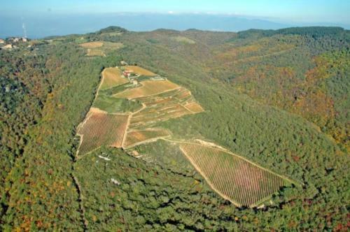 Villa Le Diacce Di Podere Ciona