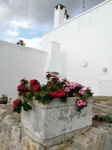 Villa Tenuta La Civetta