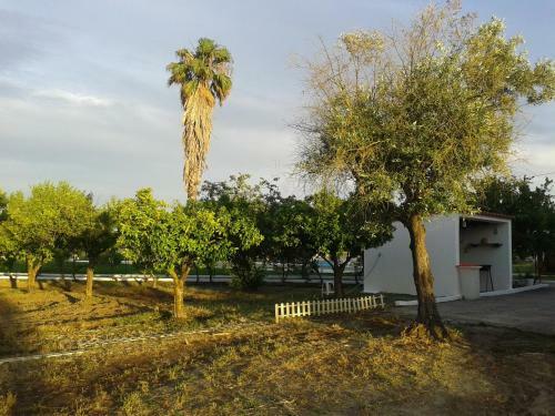 Monte Da Vinha