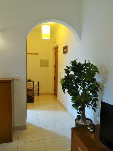 Apartamento Nascer Do Sol By Stay In Alentejo