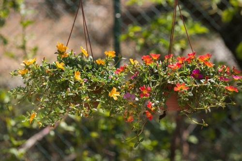 Bed & Breakfast Serra Serena
