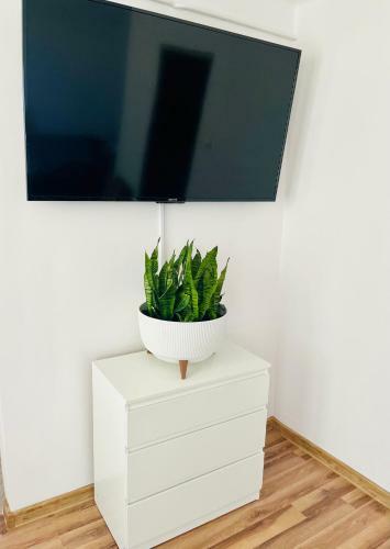Apartament Na Sp�?dzielczej