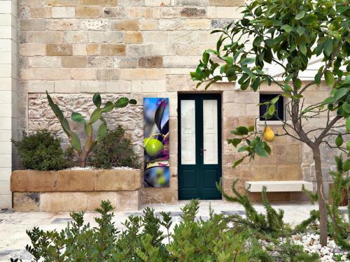 Bed & Breakfast Relais Masseria Capasa