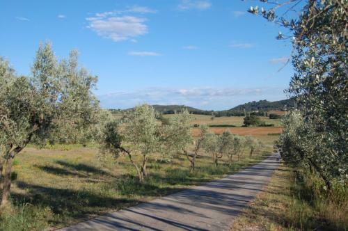 Villa Podere Il Fico